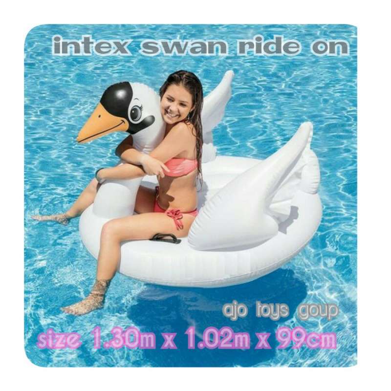 Intex swan online