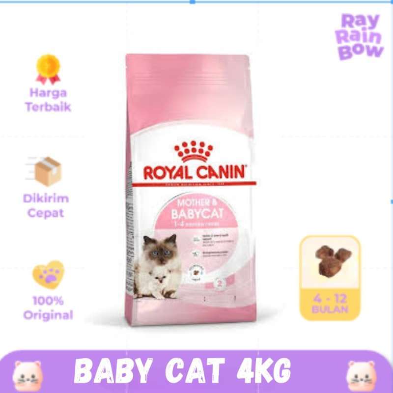 Royal canin babycat discount 4kg