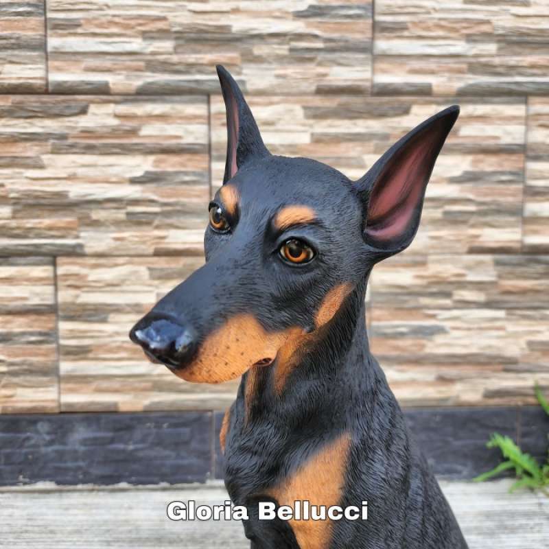 Anak anjing doberman 2025