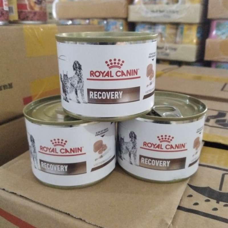 Promo Royal Canin Recovery Canned Untuk Anjing Kucing Harga