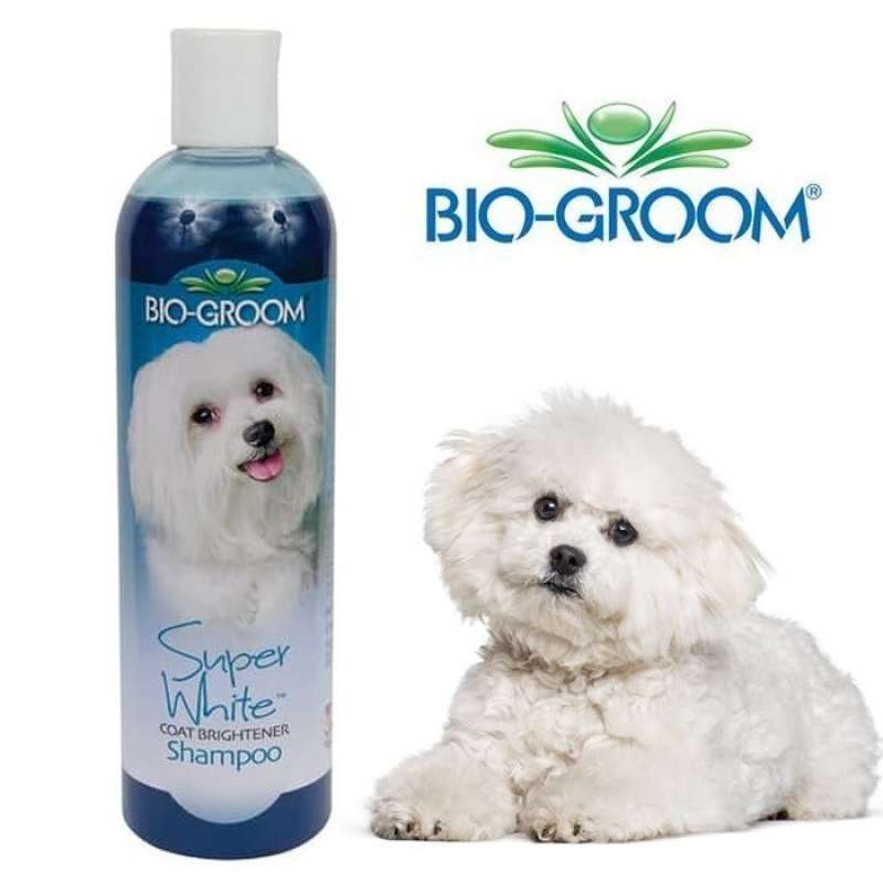 Bio groom super white shampoo best sale