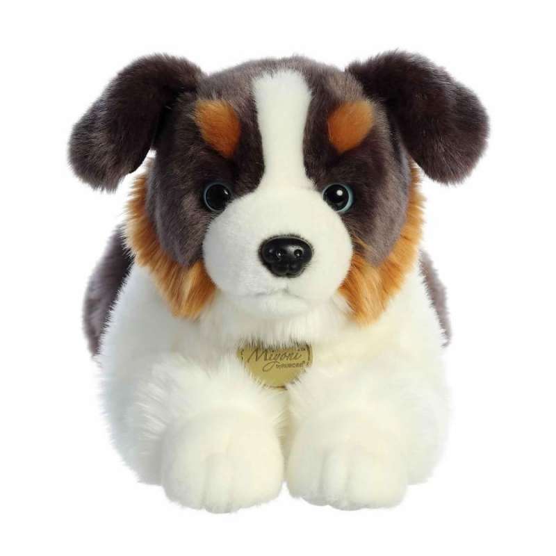 Jual hotsell australian shepherd