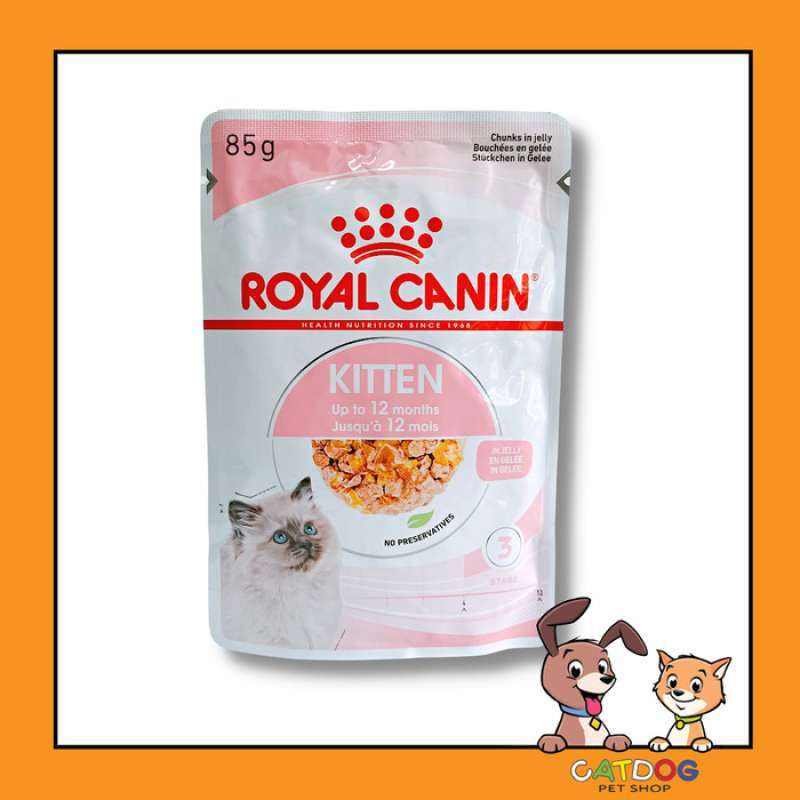 Royal canin clearance kitten instinctive jelly