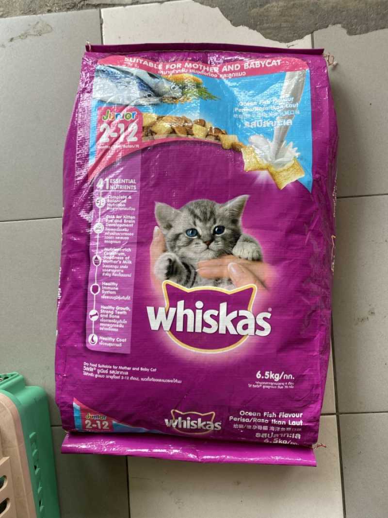 Whiskas Junior 7 Kg Makanan Untuk Anak Kucing