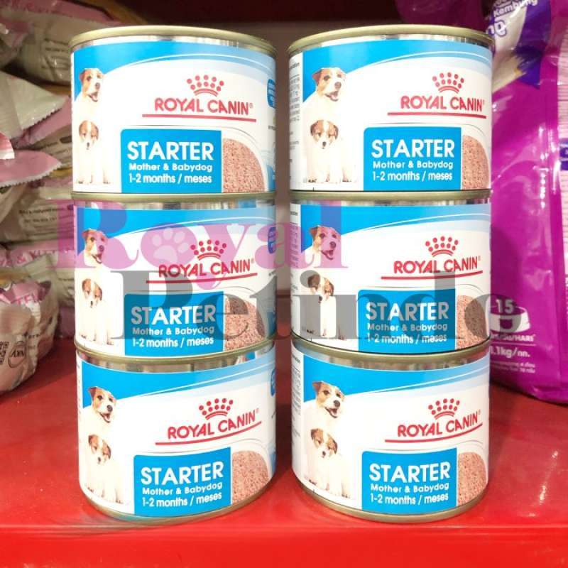 Promo royal canin pediatric starter mother babydog wetfood