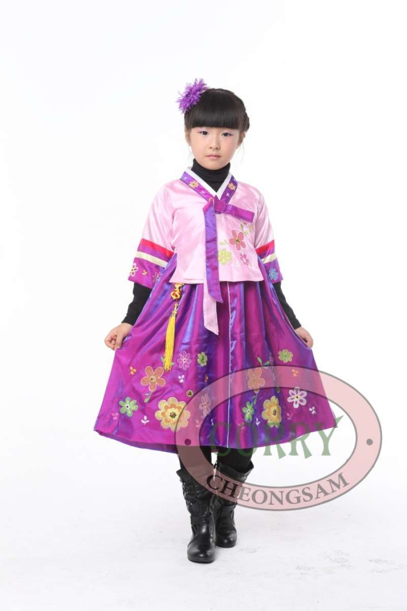 Promo Baju Dress Korea Hanbok Anak Perempuan Ungu Pink Diskon 23 Di Seller Babana Store Kalibata Kota Jakarta Selatan Blibli