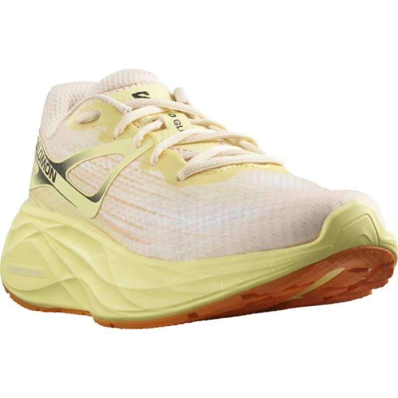 Road Running Shoes Salomon Aero Glide (Women)