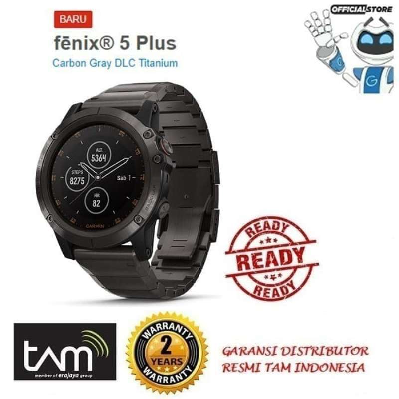 Fenix 5x plus dlc store