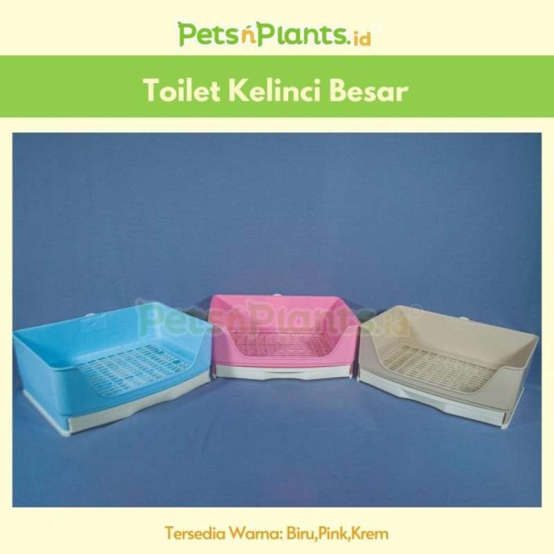 Litter box kelinci 2025