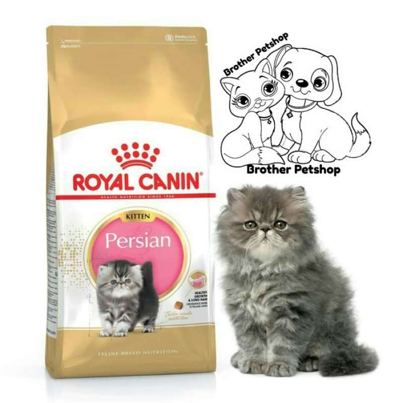 Harga royal canin kitten persian 2kg top