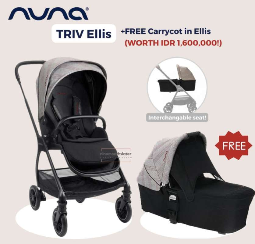 Nuna pipa special hotsell edition