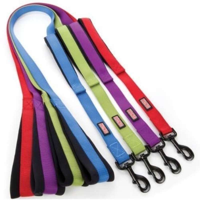 Kong padded handle leash shop