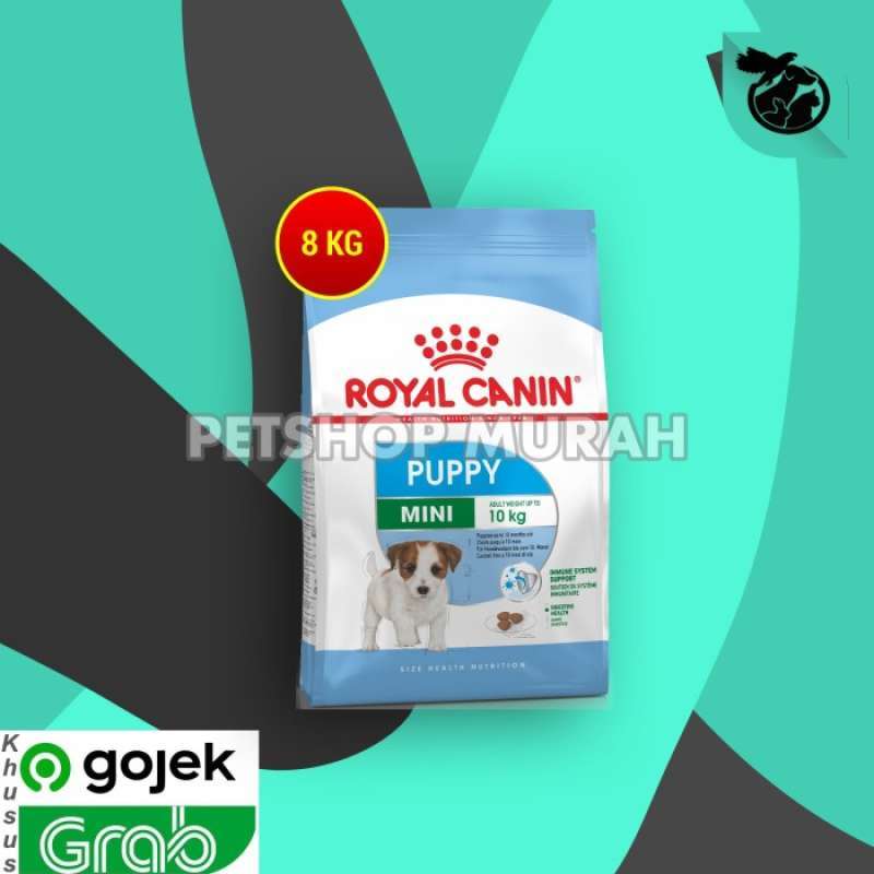 Royal canin mini deals junior 8 kg