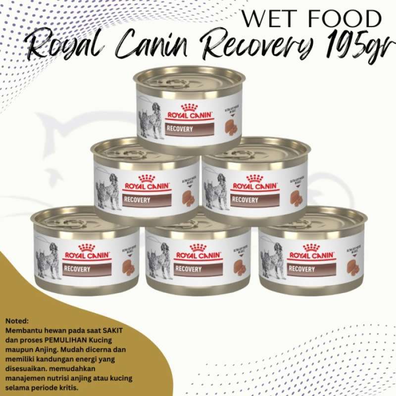 Kandungan royal canin recovery 2025