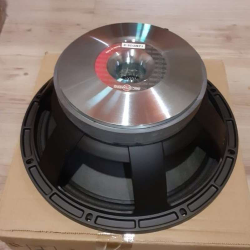 Speaker b&c 12 hotsell inch