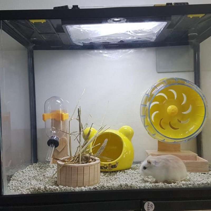 Terrarium Kandang Hamster Aquarium Fullset Limited