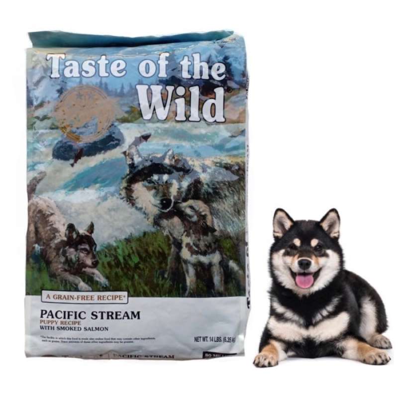 Stream sale puppy 13kg