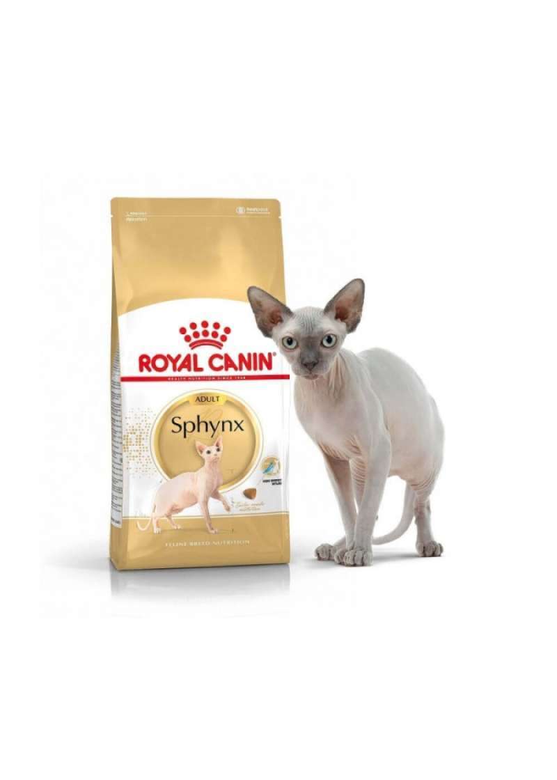Royal canin sphynx 33 on sale