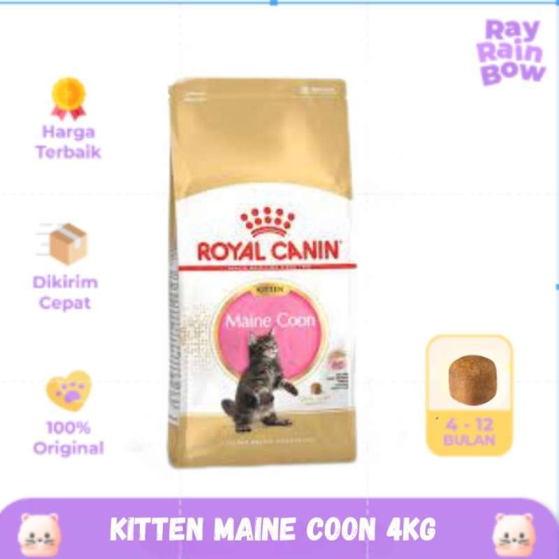 Royal canin maine coon kitten 4 kg discount
