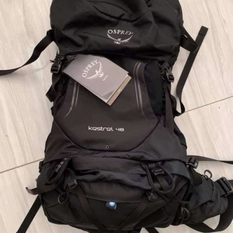 Osprey kestrel top 48 2018