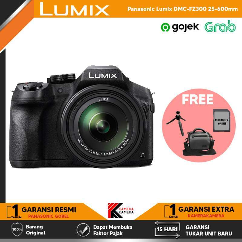 Lumix best sale fx 300