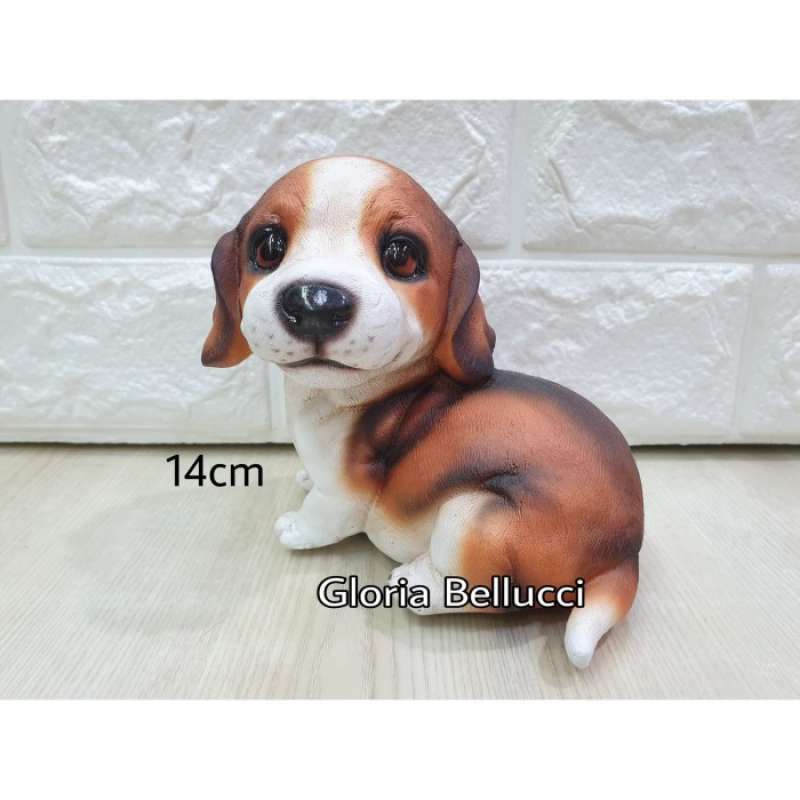 Anjing hush puppies best sale