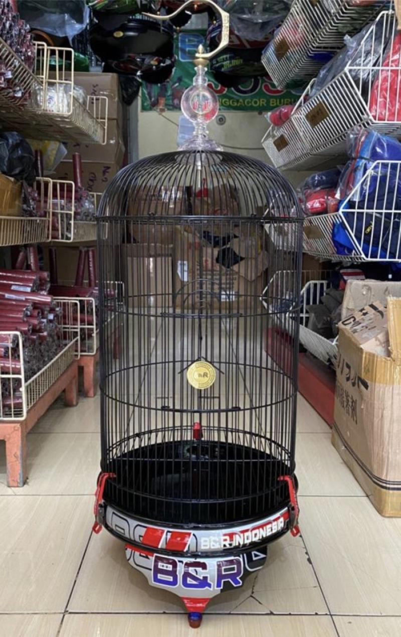 B&r pet supplies online