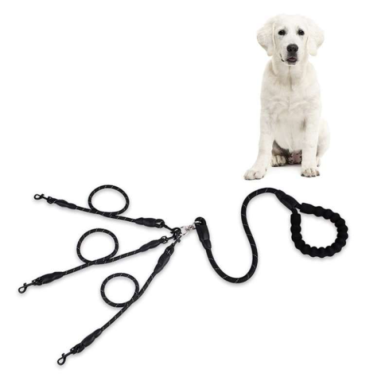 4 way dog leash discount
