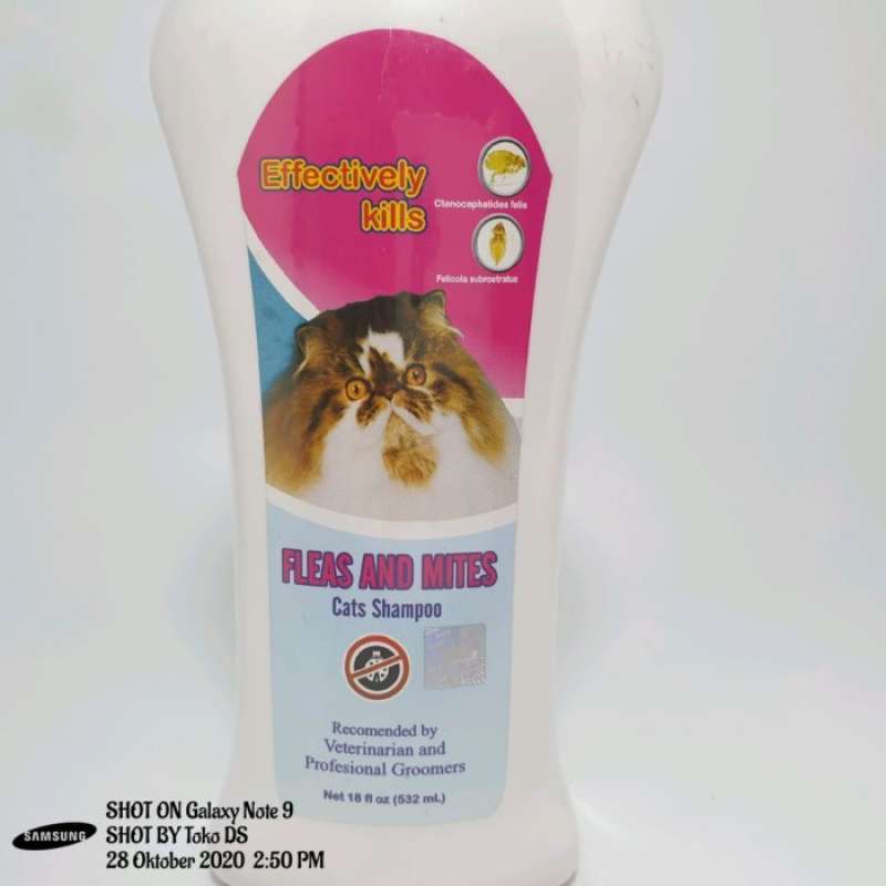 Cats and mites online shampoo