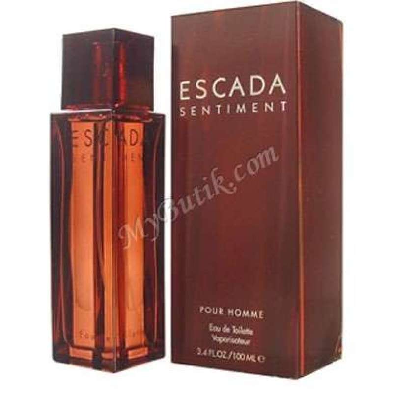 Escada sentiment store man