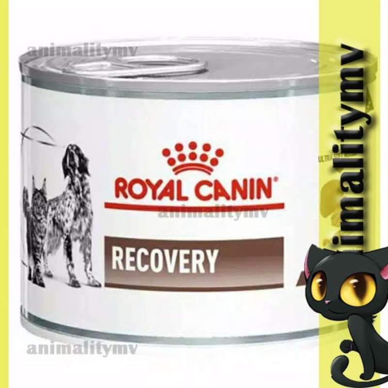 Jual Royal Canin Can Recovery Cat Dog 195gr Di Seller Ola Store Jatimulyo Kab. Kebumen Blibli
