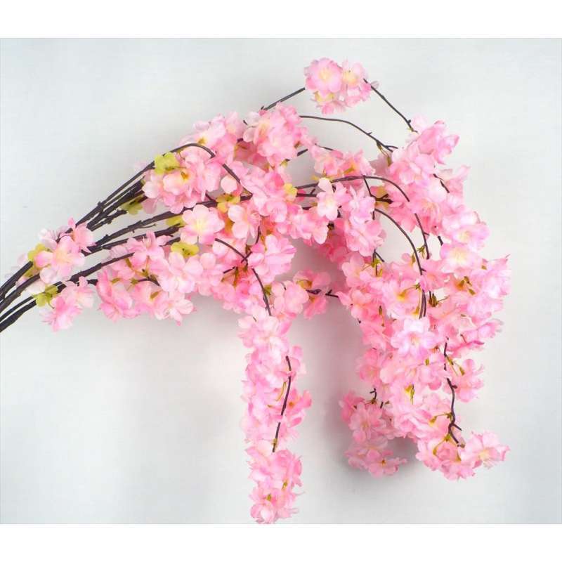 Jambu blossom on sale