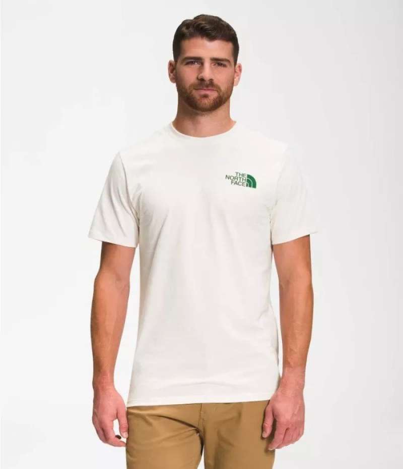 T shirt the hot sale north face original