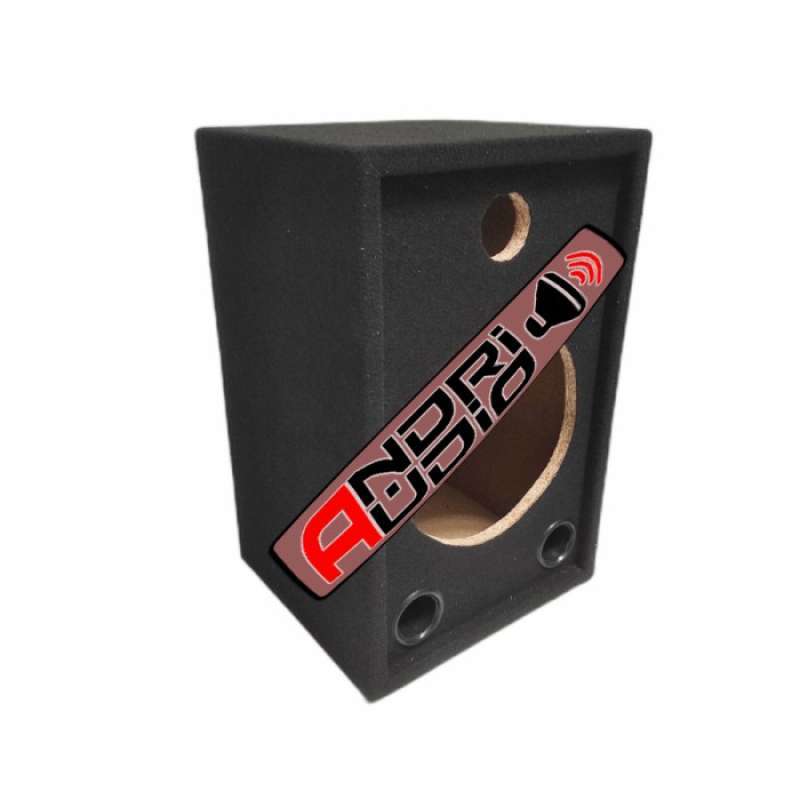 Box speaker 10 discount inch double