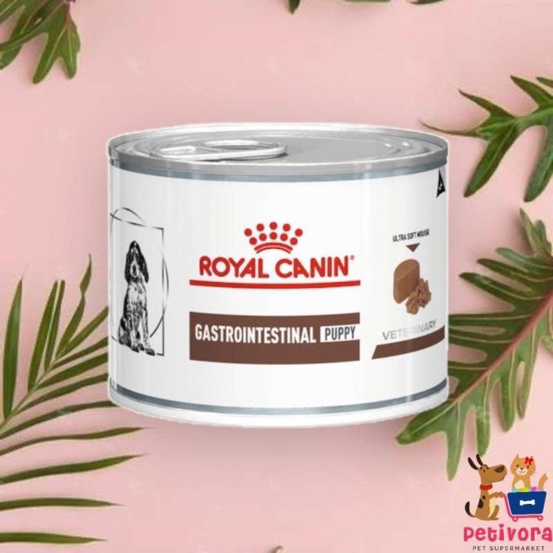 Royal canin 2024 intestinal puppy