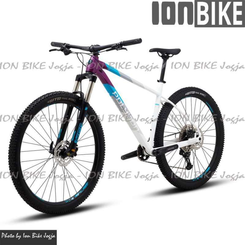 Mountain Bike Polygon Xtrada Limited Edition 2021 Jual Sepeda Mtb
