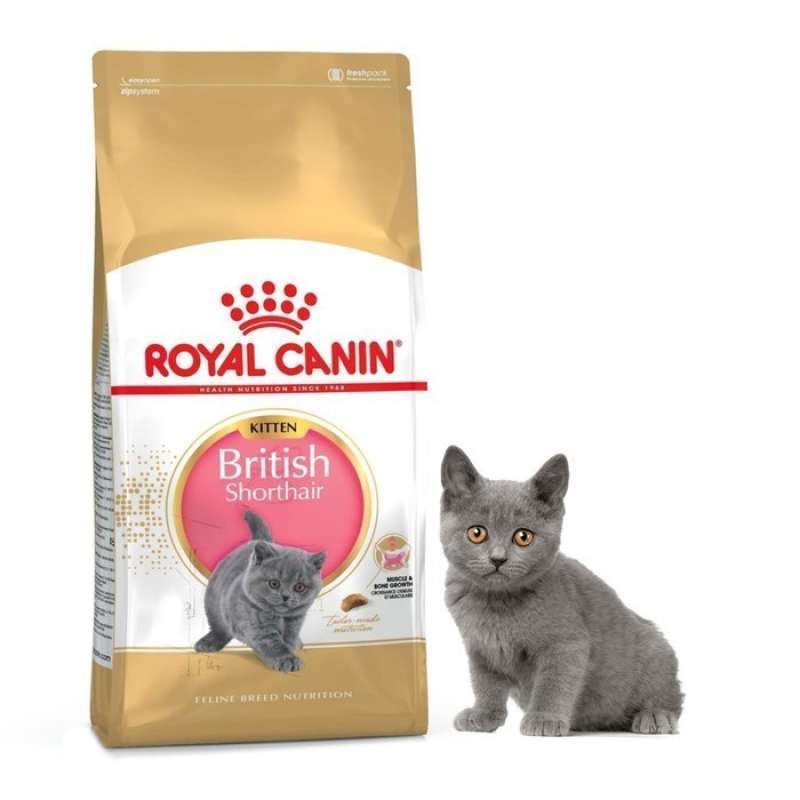 Royal canin 2025 british shorthair 2kg