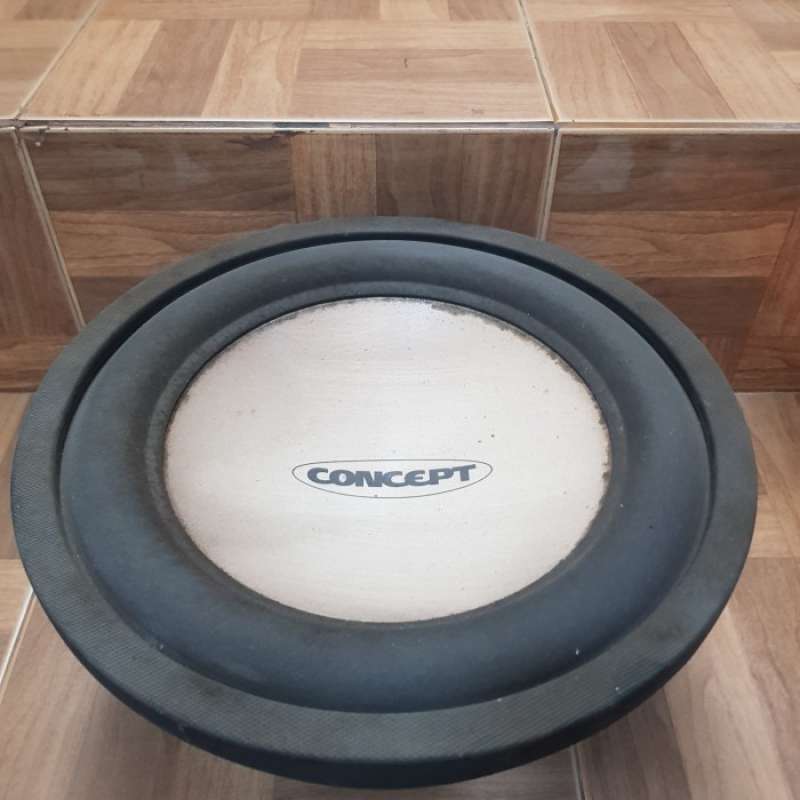 Concept shop subwoofer 12