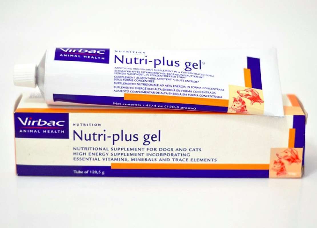 Nutrigel hotsell for dogs