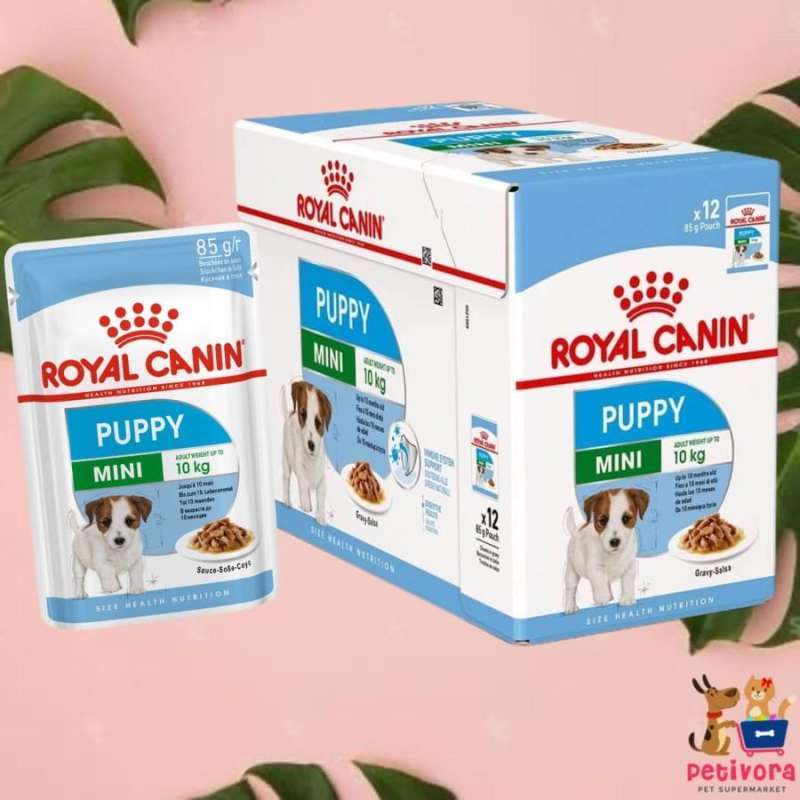 Royal canin mini puppy wet shop