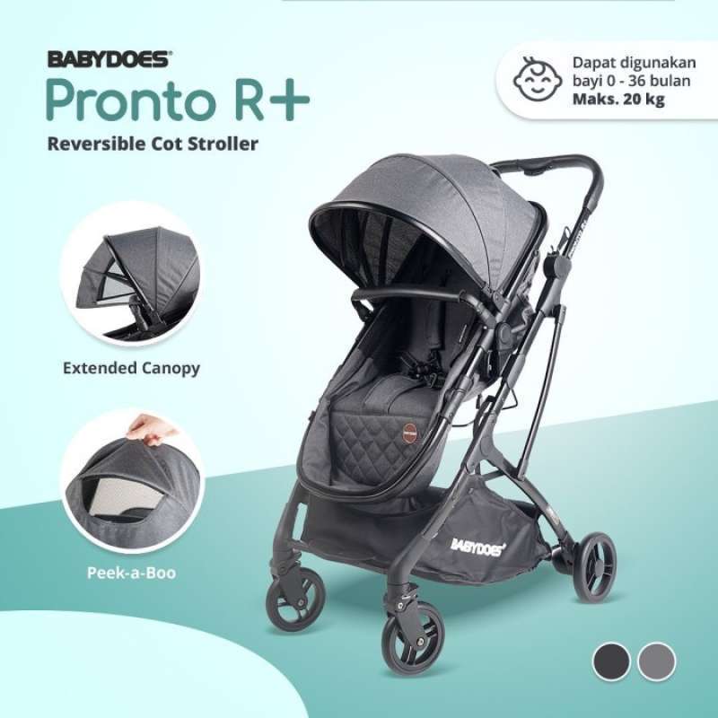 Stroller reversible dan cabin size top