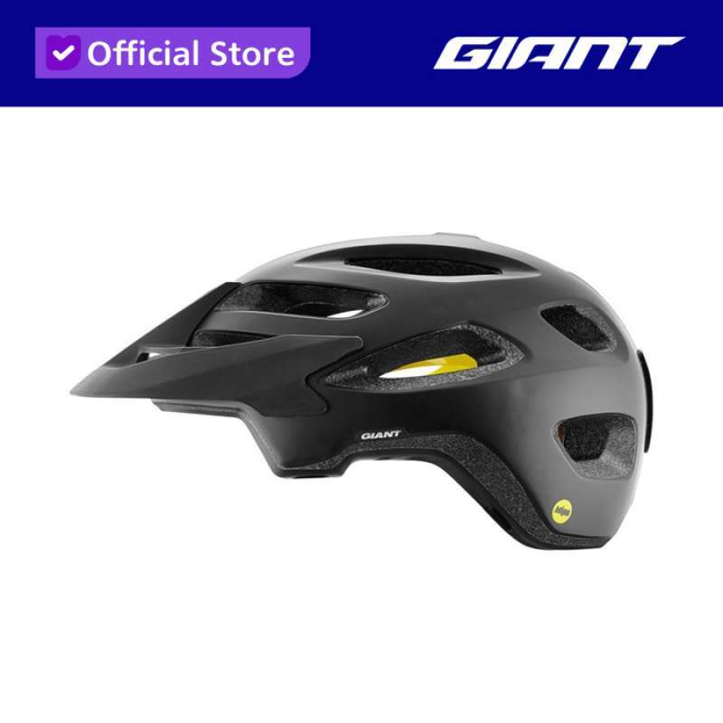 Giant roost mtb helmet sales