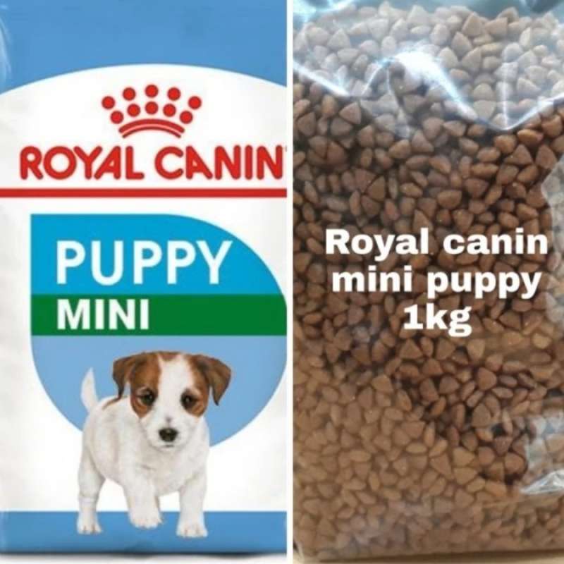 Rc mini puppy discount