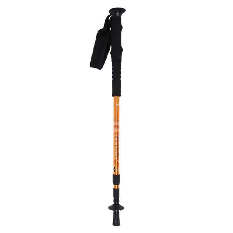 Eiger trekking pole 3 section hotsell