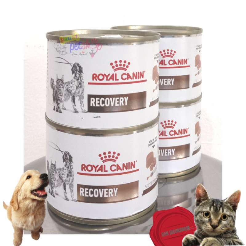 Royal Canin Recovery 195 g Makanan Basah Kaleng Pemulihan Kucing Sakit