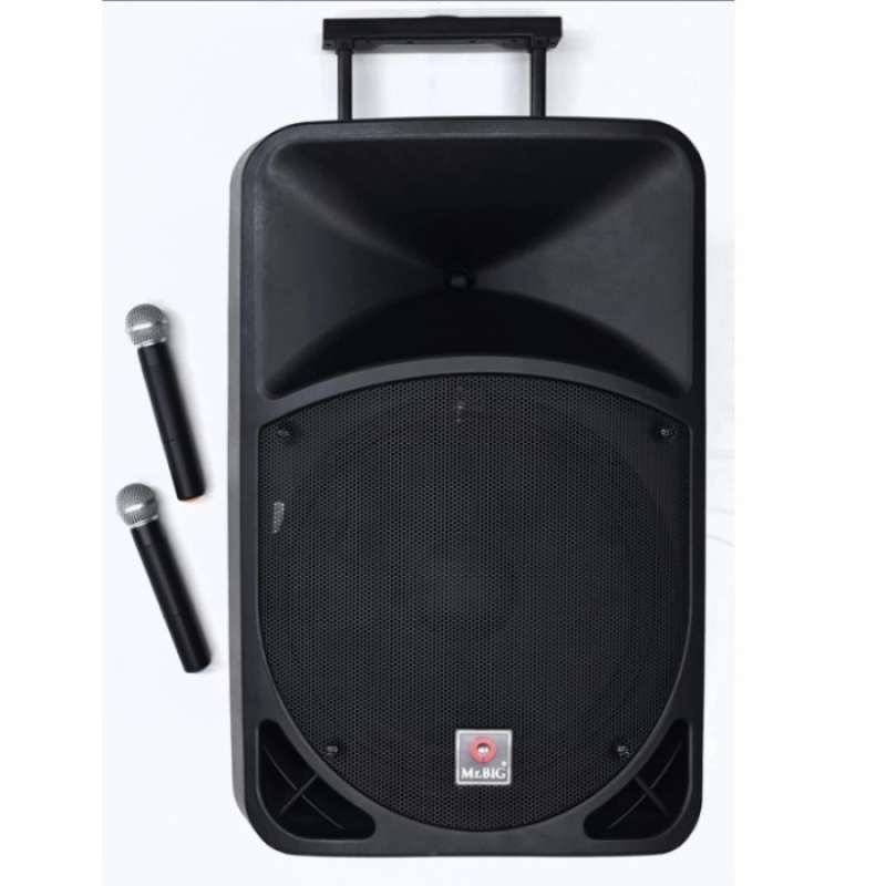 Speaker shop mr big