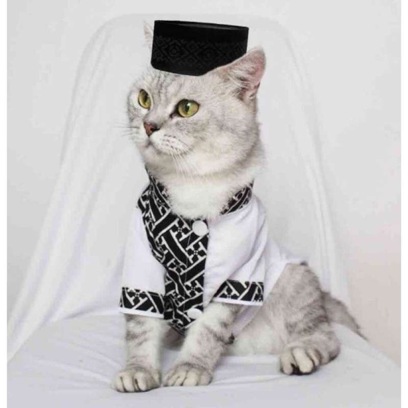 Baju Koko Kucing Motif Etnik - Baju Lebaran