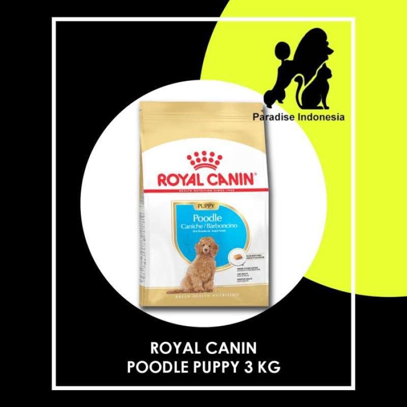 Royal canin 2025 poodle junior 3kg