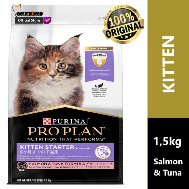 Kitten starter hot sale