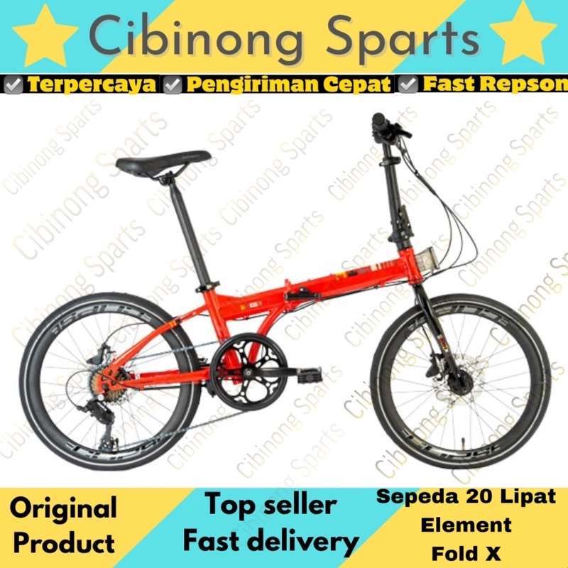 Element dahon ion 2025